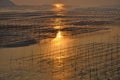 Fujian Xiapu Beach Sunrise,China Royalty Free Stock Photo