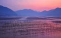 Fujian Xiapu Beach Sunrise,China Royalty Free Stock Photo