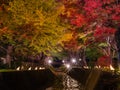 Fujikawaguchiko Autumn Leaves Momiji Festival Royalty Free Stock Photo