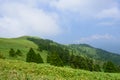 Fujimidai Highland in Nagano/Gifu, Japan Royalty Free Stock Photo