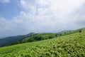 Fujimidai Highland in Nagano/Gifu, Japan Royalty Free Stock Photo