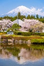 Shizuoka, Japan with Mt. Fuji in Spring Royalty Free Stock Photo