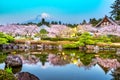 Fujinomiya, Shizuoka, Japan with Mt. Fuji and temples in spring Royalty Free Stock Photo