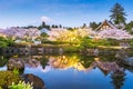 Fujinomiya, Shizuoka, Japan with Mt. Fuji and temples in spring season