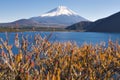 Fujisan at Lake Motosu Royalty Free Stock Photo