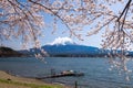 Fujisan Mountain with cherry blossom in spring, Kawaguchiko lake, Japan