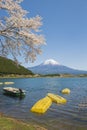 Fujisan and Sakura at Lake Tanuki Royalty Free Stock Photo