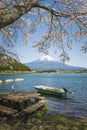Fujisan and Sakura at Lake Tanuki Royalty Free Stock Photo