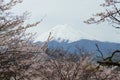 Fujisan From Shimoyoshida Japan Royalty Free Stock Photo