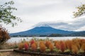 Fujisan is surrounded by lake with spectacular cloudy sky and Kochia scopa in kawaguchiko natural living center, ,Yamanashi,Japan.