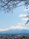 Fujiyama mountain with sakura branch 2