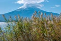 Fujiyama volcano background and grass