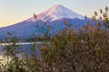 Fujiyama volcano background and grass