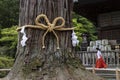 Fujiyoshida city, Japan - June 13, 2017: The sacred tree at Fuj