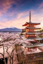 Fujiyoshida, Japan at Chureito Pagoda and Mt. Fuji in the spring with cherry blossoms Royalty Free Stock Photo