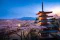 Fujiyoshida, Japan at Chureito Pagoda and Mt. Fuji in the spring with cherry blossoms full bloom during twilight. Japan Landscape Royalty Free Stock Photo