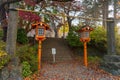 Fujiyoshida, Yamanashi, Japan - November 17, 2016- Autumn scene at entrance to Arakura Sengen Shrine, the path leading to the Royalty Free Stock Photo