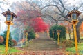 Fujiyoshida, Yamanashi, Japan - November 17, 2016- Autumn scene at entrance to Arakura Sengen Shrine, the path leading to the Royalty Free Stock Photo