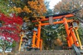 Fujiyoshida, Yamanashi, Japan - November 17, 2016- Autumn scene at entrance to Arakura Sengen Shrine, the path leading to the Royalty Free Stock Photo