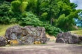 Ichijodani Asakura Family Historic Ruins in Fukui City, Fukui Prefecture, Japan. This area was Royalty Free Stock Photo