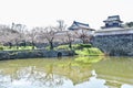 Fukuoka Castle Ruins with Cherry Blossom Trees in Fukuoka City