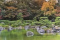 Natural landscape depicting a Japanese garden in autumn with maple momiji trees overlooking a pond.