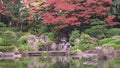 The Sandan-Ochi-no-Taki Waterfall in the Japanese Ohori garden in the autumn rain falling on the red momiji maple trees.