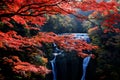 Famous Fukuroda waterfalls during autumn season