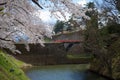 FUKUSHIMA, JAPAN - APR 15,2016:Tsuruga Castle surrounded by hundreds of sakura trees