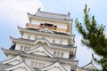 Fukuyama castle Royalty Free Stock Photo