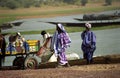 Fulani people at the river, Mali Royalty Free Stock Photo