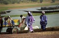 Fulani people at the river, Mali