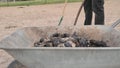 Fulfilling trolley. Horse biofarm stuff loading dry balls of horse dinuts indo garden wheelbarrow. Man in safety gloves