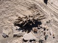 Fulgurites, where lightning has struck sand