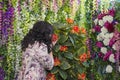 Full Asian woman in the room with flowers. Royalty Free Stock Photo