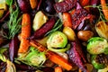 Full background of roasted autumn vegetables Royalty Free Stock Photo