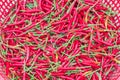 Pile of red hot chili peppers in plastic basket at farmer market in Vietnam Royalty Free Stock Photo