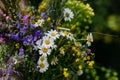 Full beautiful bouquet from meadow flowers. A colorful variety of summer wildflowers.