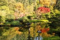 full of beautiful fall colors at Japanese Garden, Seattle Washington Royalty Free Stock Photo