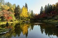 full of beautiful fall colors at Japanese Garden, Seattle Washington Royalty Free Stock Photo