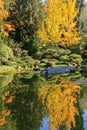Full of beautiful fall colors at Japanese Garden, Seattle Washington Royalty Free Stock Photo