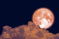 Full Beaver Moon back dark orange cloud on night sky Royalty Free Stock Photo