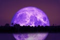 full Beaver Moon back on silhouette tree and reflection on river and night sky