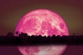 full Beaver Moon back on silhouette tree and reflection on river and night sky Royalty Free Stock Photo