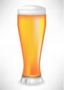 Full beer glass