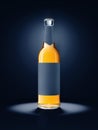 Full beer glass bottle against dark background. Empty label for your text. Lit by spotlight from top Royalty Free Stock Photo