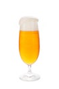 Full beer glass with foam. Royalty Free Stock Photo