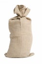 Full big sack, studio shot Royalty Free Stock Photo