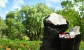 Full black wastebasket and plastic bags