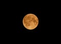 full blody moon in the night Royalty Free Stock Photo